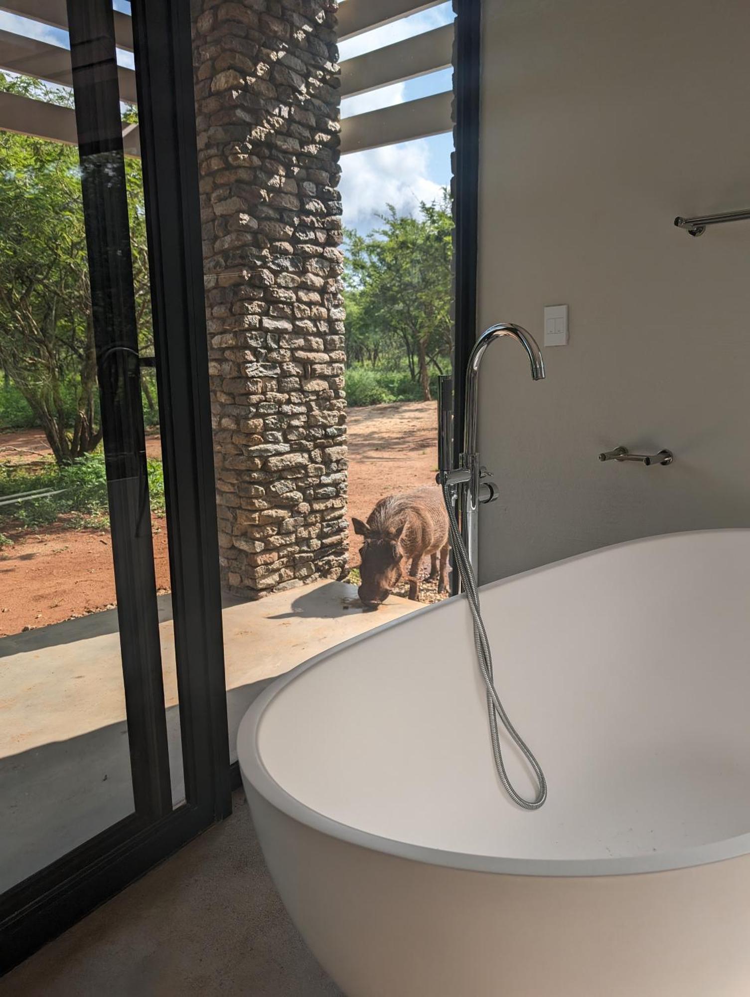 Ungava Retreat Villa Marloth Park Luaran gambar