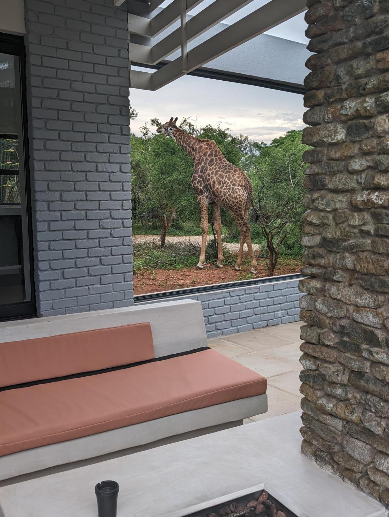 Ungava Retreat Villa Marloth Park Luaran gambar